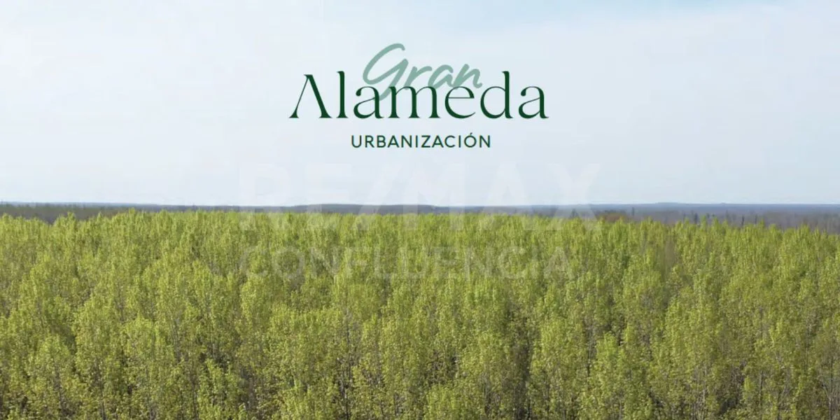 VENTA LOTE COMERCIAL B° GRAN ALAMEDA CIPOLLETTI foto 2