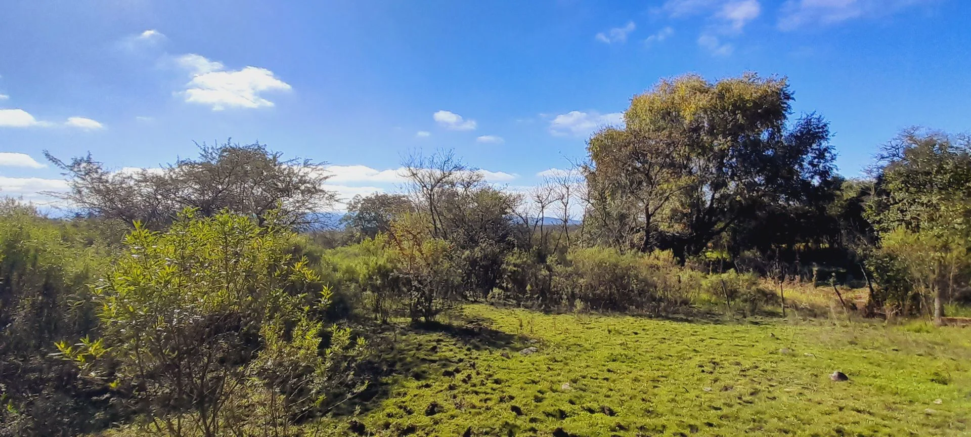 VENTA DE TERRENO 5817mc EN LOS PAÑOS SOBRE RUTA foto 4