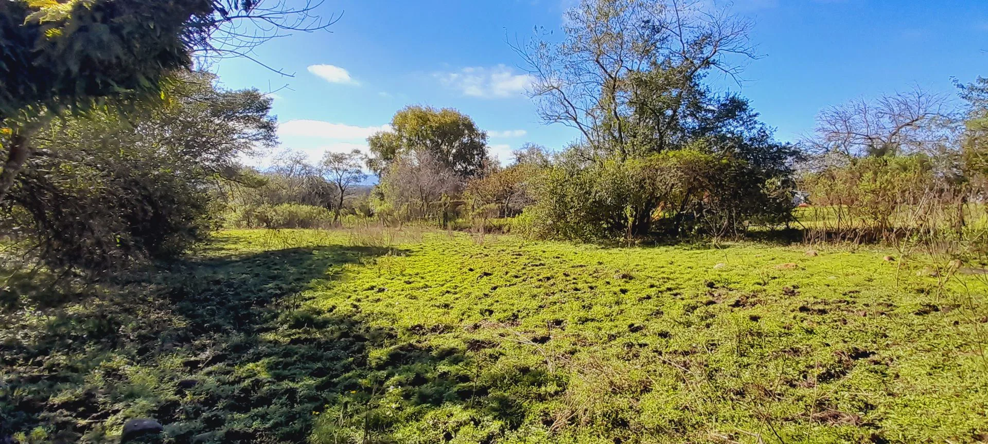 VENTA DE TERRENO 5817mc EN LOS PAÑOS SOBRE RUTA foto 5