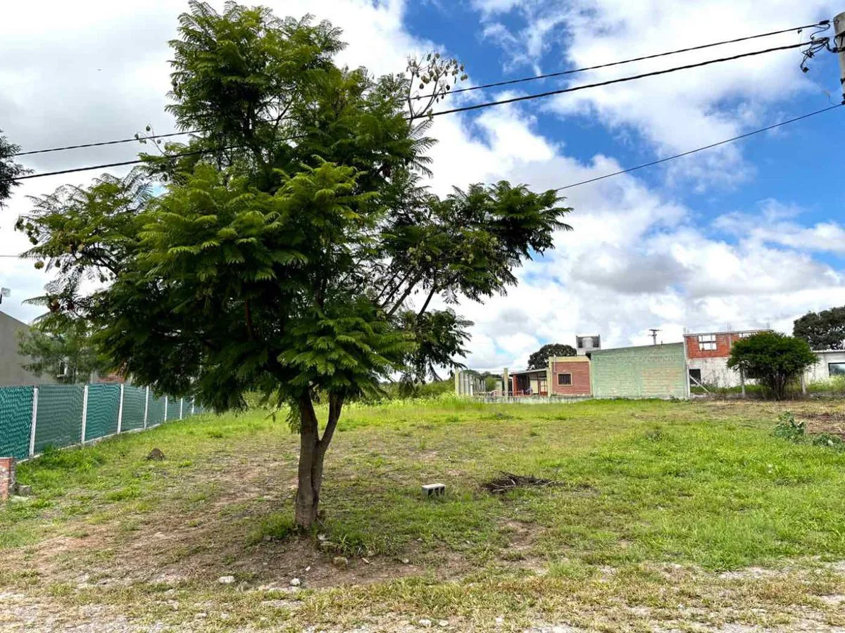 VENTA TERRENO 912 m2 ROTONDA OSQUE DEL CEIBAL II foto 3