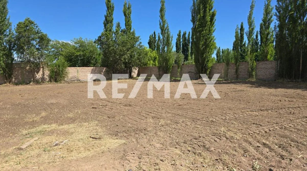 VENTA LOTE  B° CERRADO SOFIA II, PLOTTIER. foto 4