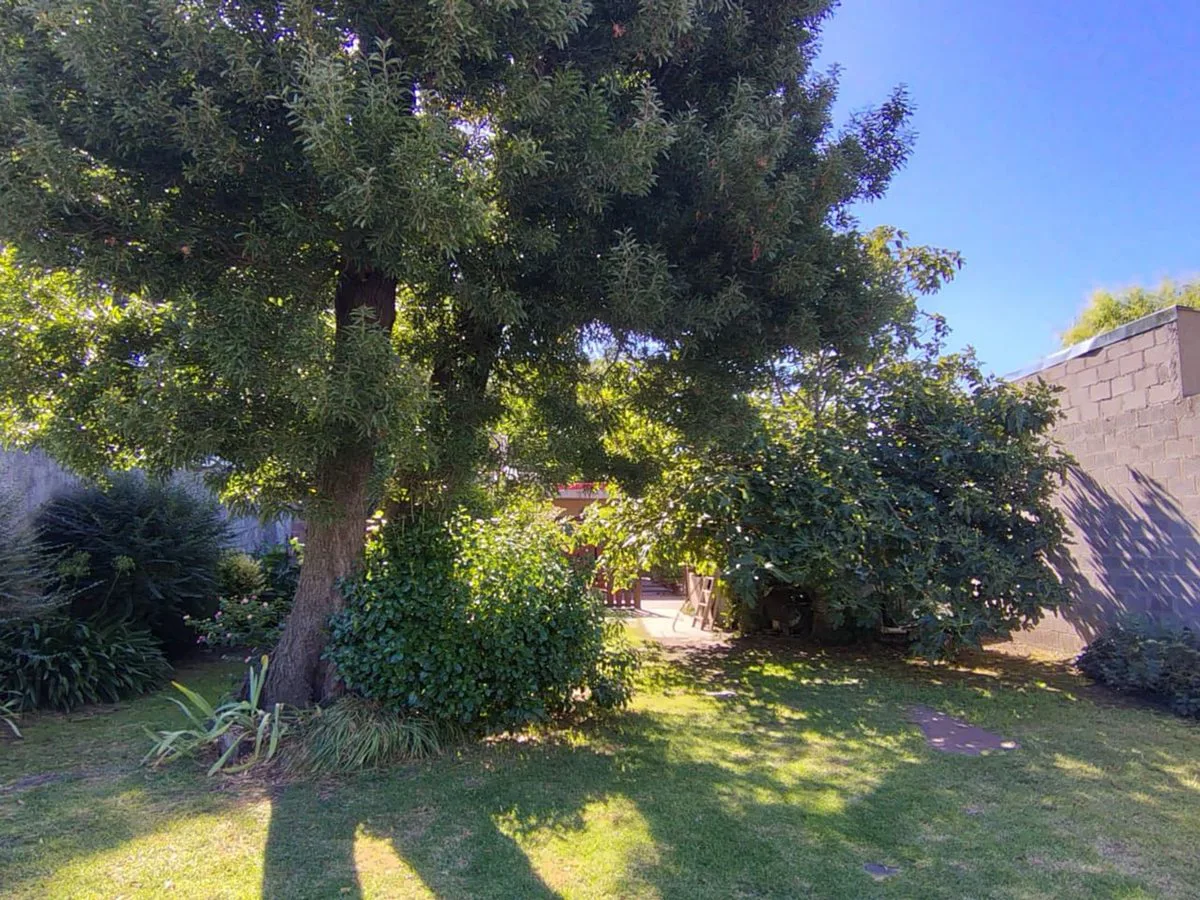 VENTA CASA 4 AMB. JORGE NEWBERY GRAN PARQUE foto 3