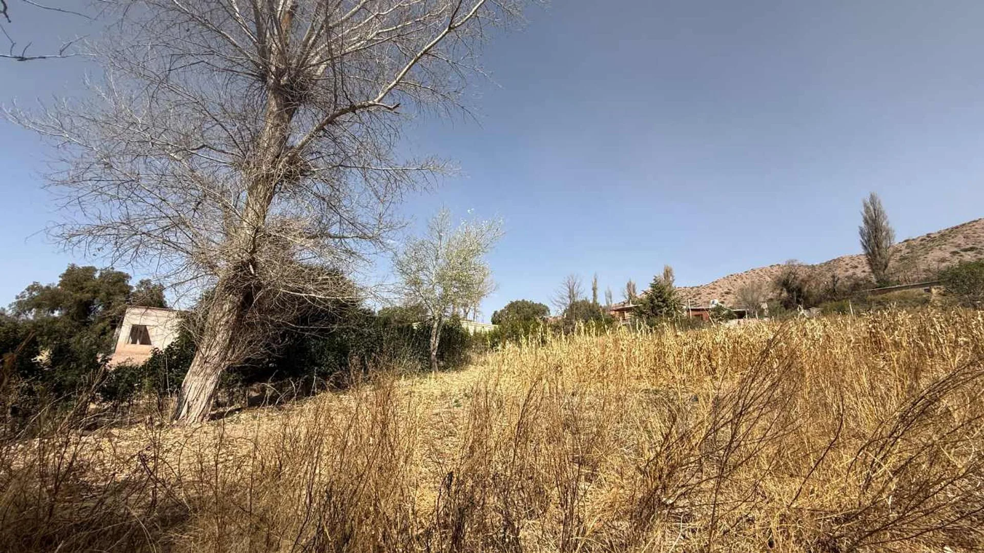 VENTA TERRENO 1436.37 M2 UQUIA JUJUY foto 4