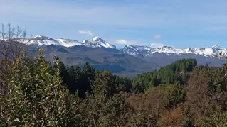 Se Vende Terreno de 855m2 en barrio Caleuche foto 1
