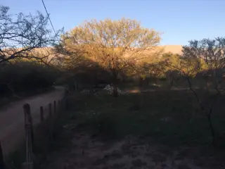 Lote de terreno / zona casa quintas foto 4