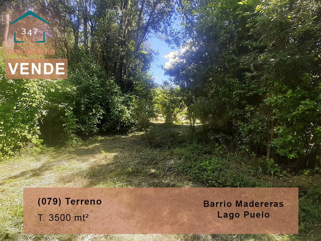 (079) Terreno de 3500 mt² en Lago Puelo (B Maderera)