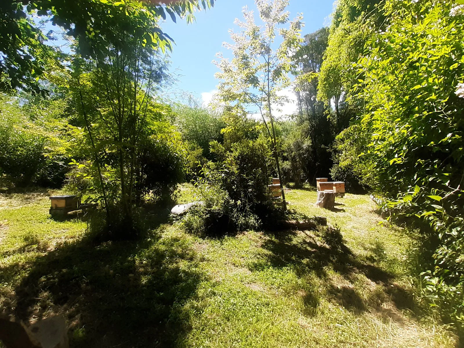 (079) Terreno de 3500 mt² en Lago Puelo (B Maderera) foto 3