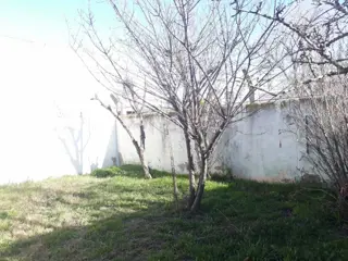 Venta Casa Ing White foto 4