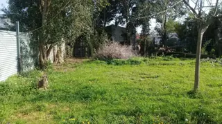 INDUSTRIA HABILITADA EN JAUREGUI  SOBRE FRACCION DE 1054 M2 foto 5