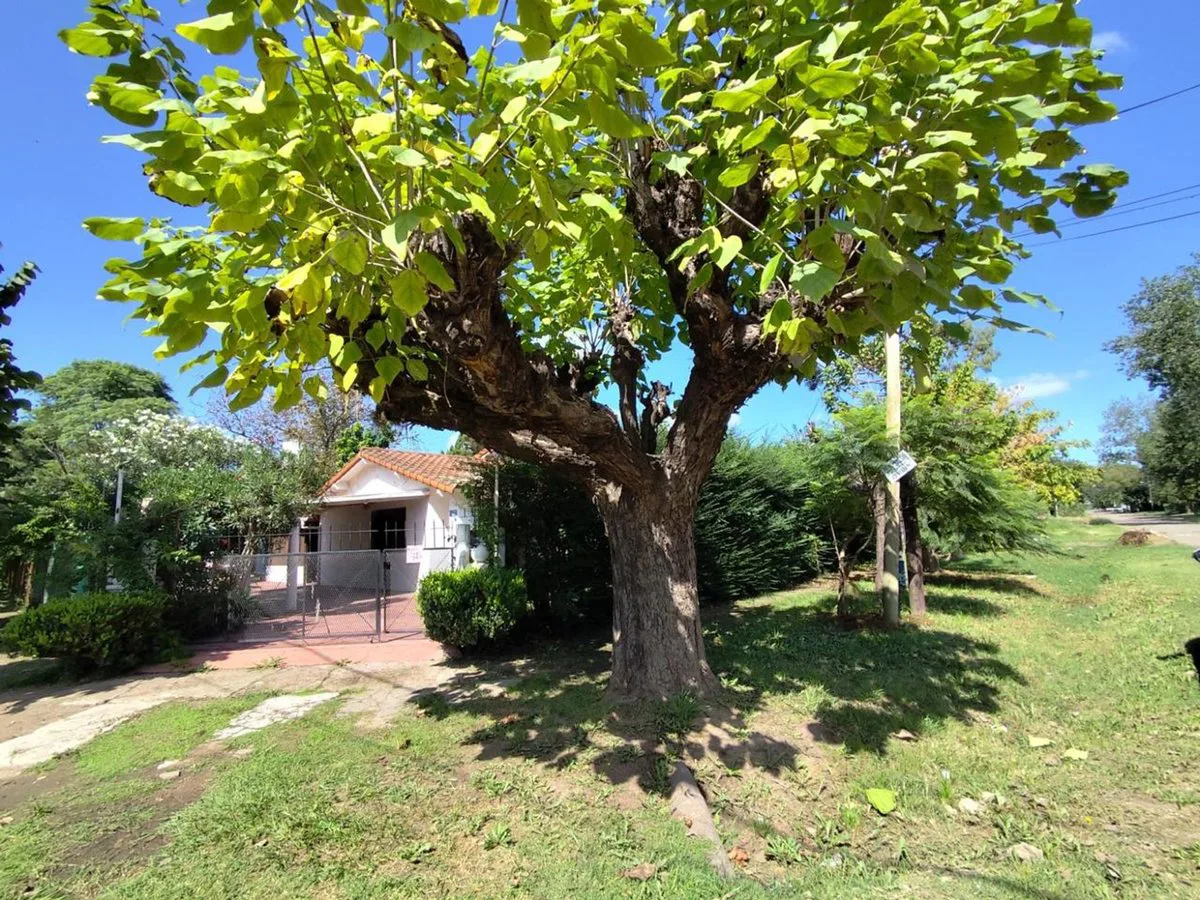 VENTA CASA DE 3 AMBIENTES PASO DEL REY APTO CREDIT foto 4