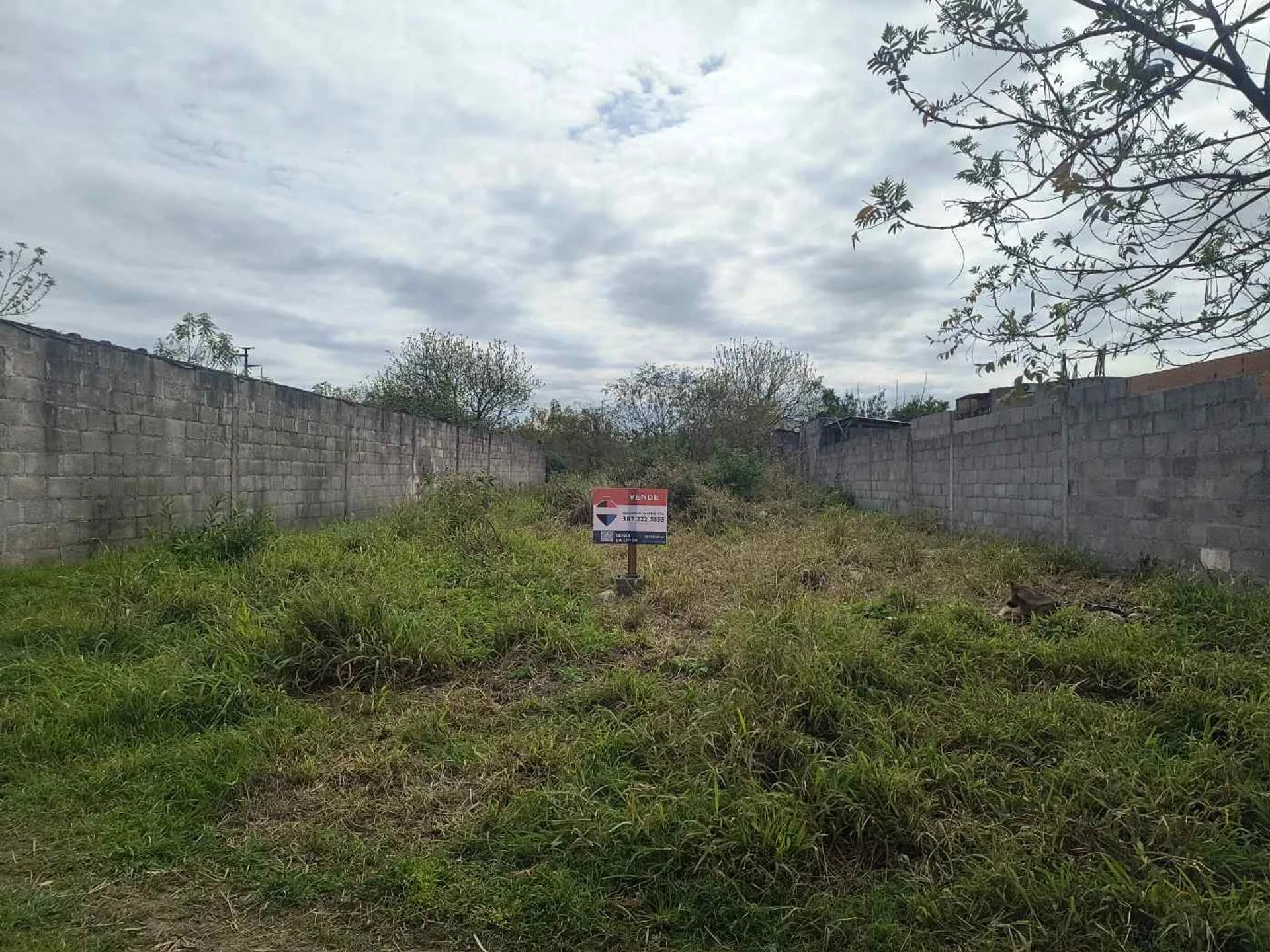 Venta Lote Metán 300 m2 con Todos los Servicios foto 4