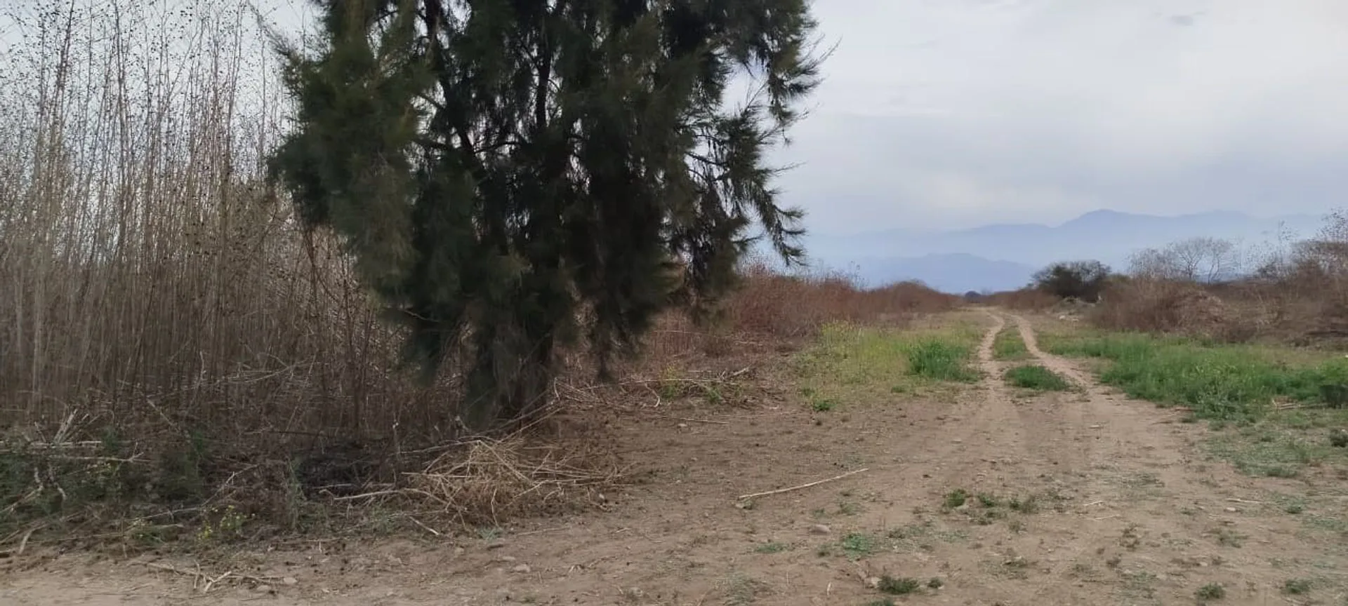 VENTA TERRENO 2250M2 EL CARMEN foto 3