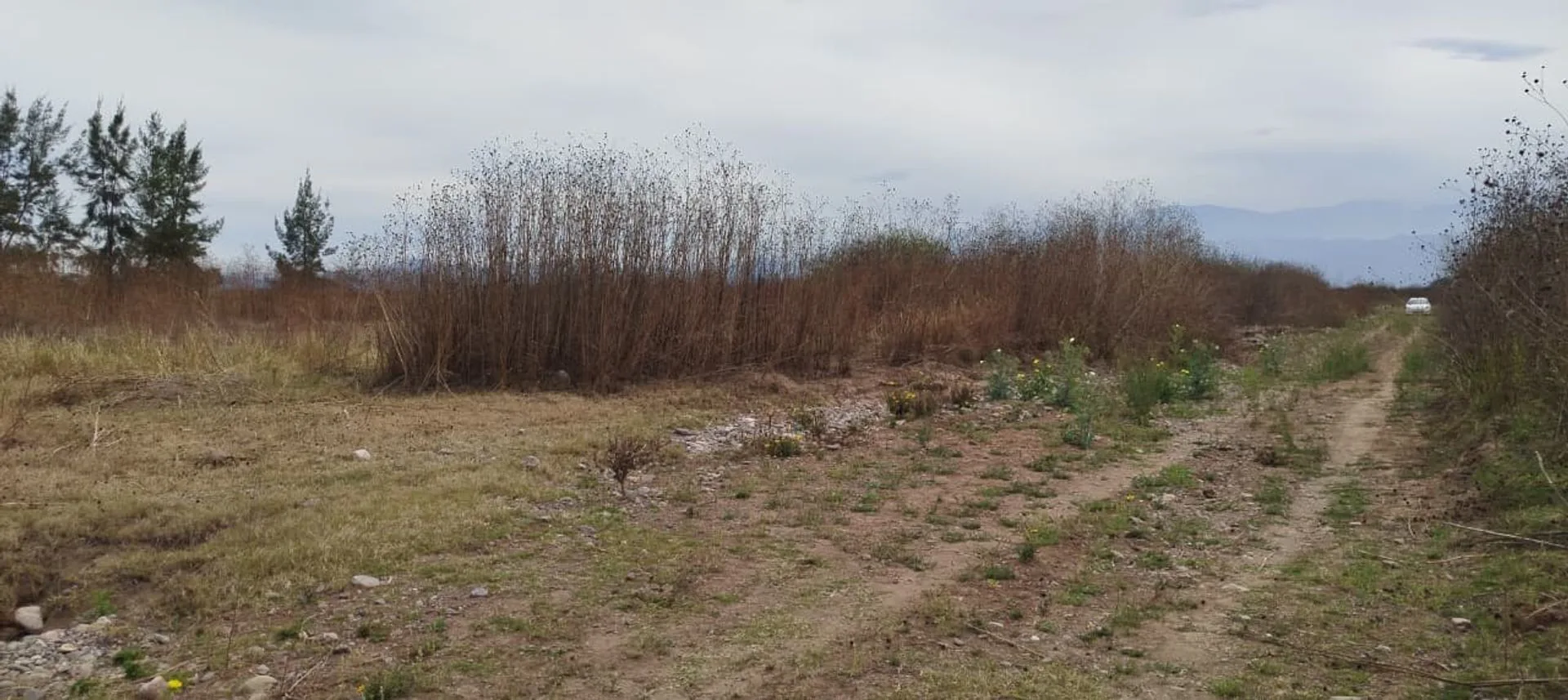VENTA TERRENO 2250M2 EL CARMEN foto 4