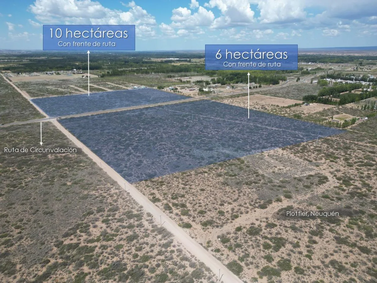 VENTA DE LOTE 10 HECTAREAS PLOTTIER NEUQUEN foto 2