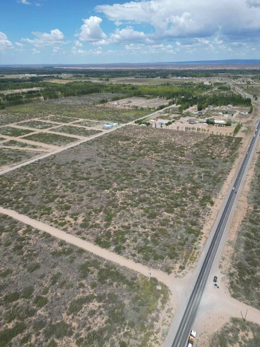 VENTA DE LOTE 10 HECTAREAS PLOTTIER NEUQUEN foto 4
