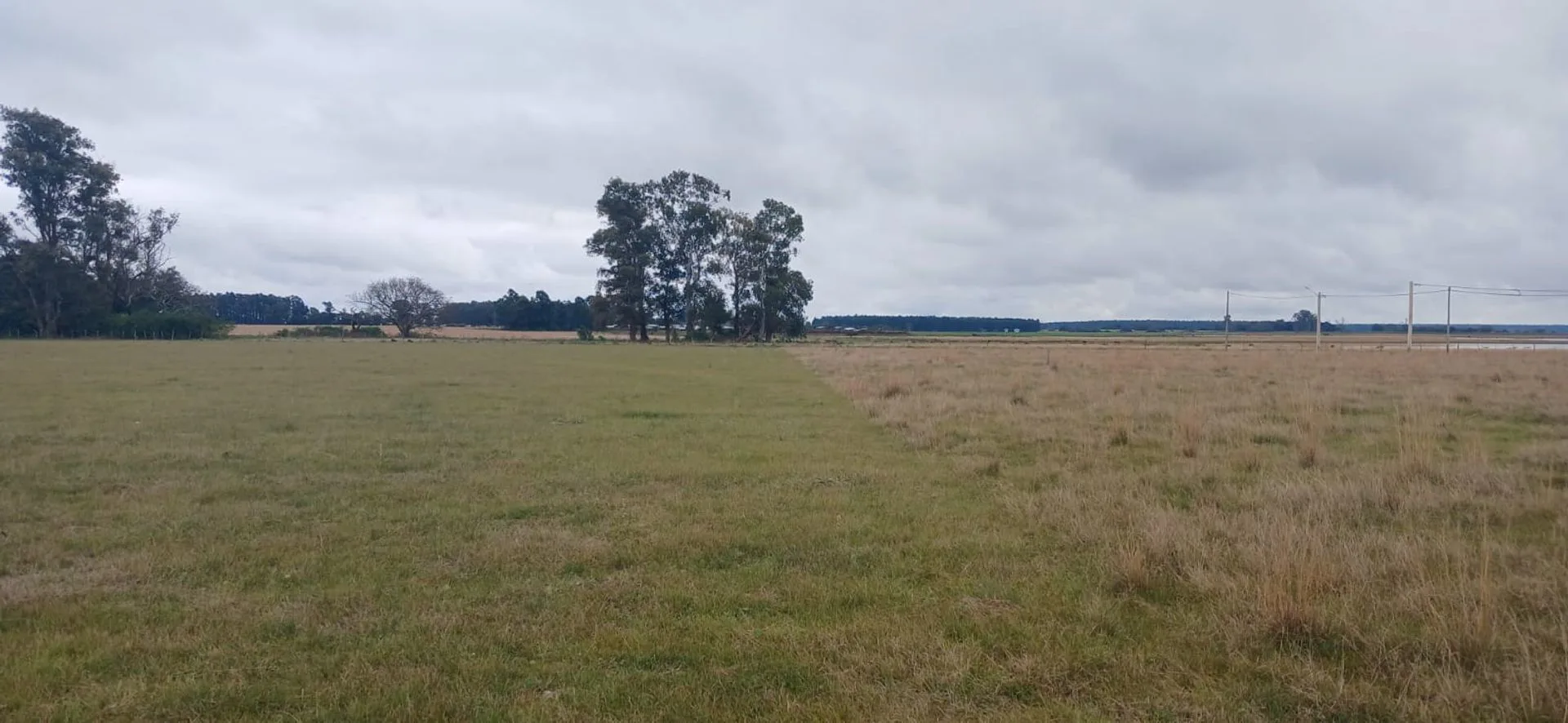 LOTES EN VENTA EN LOTEO ALTOS LAGUNA PUKU CAROLINA foto 3