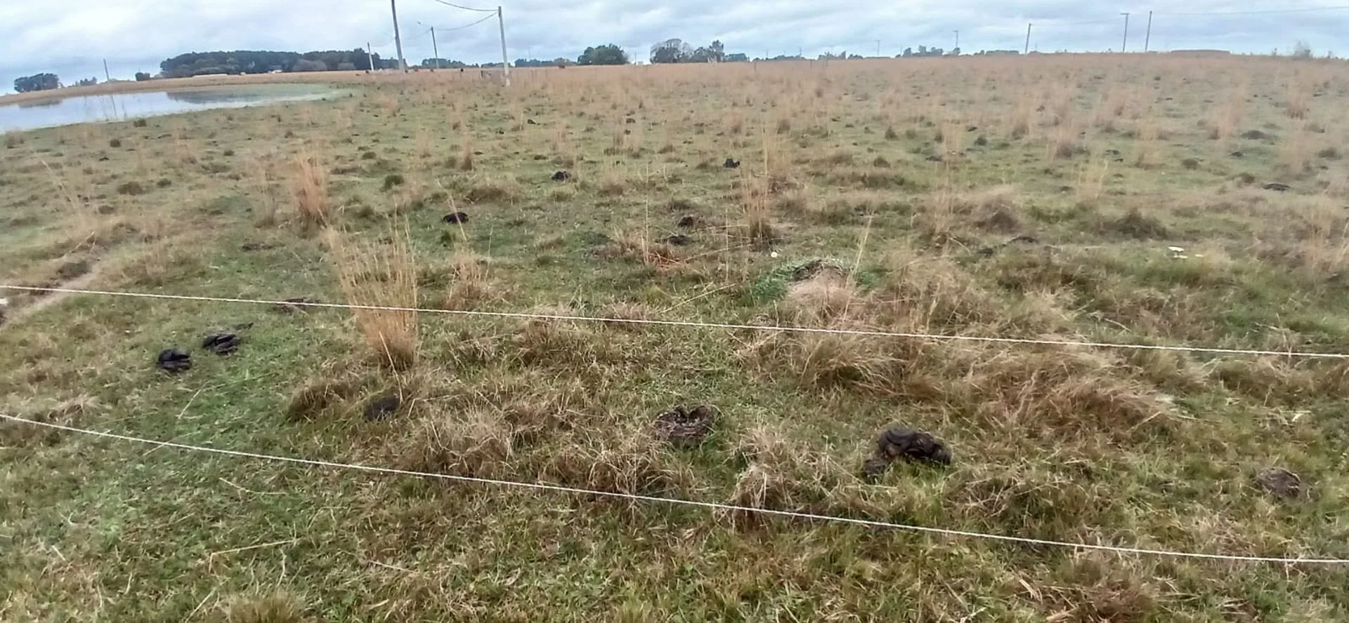 LOTES EN VENTA EN LOTEO ALTOS LAGUNA PUKU CAROLINA foto 5