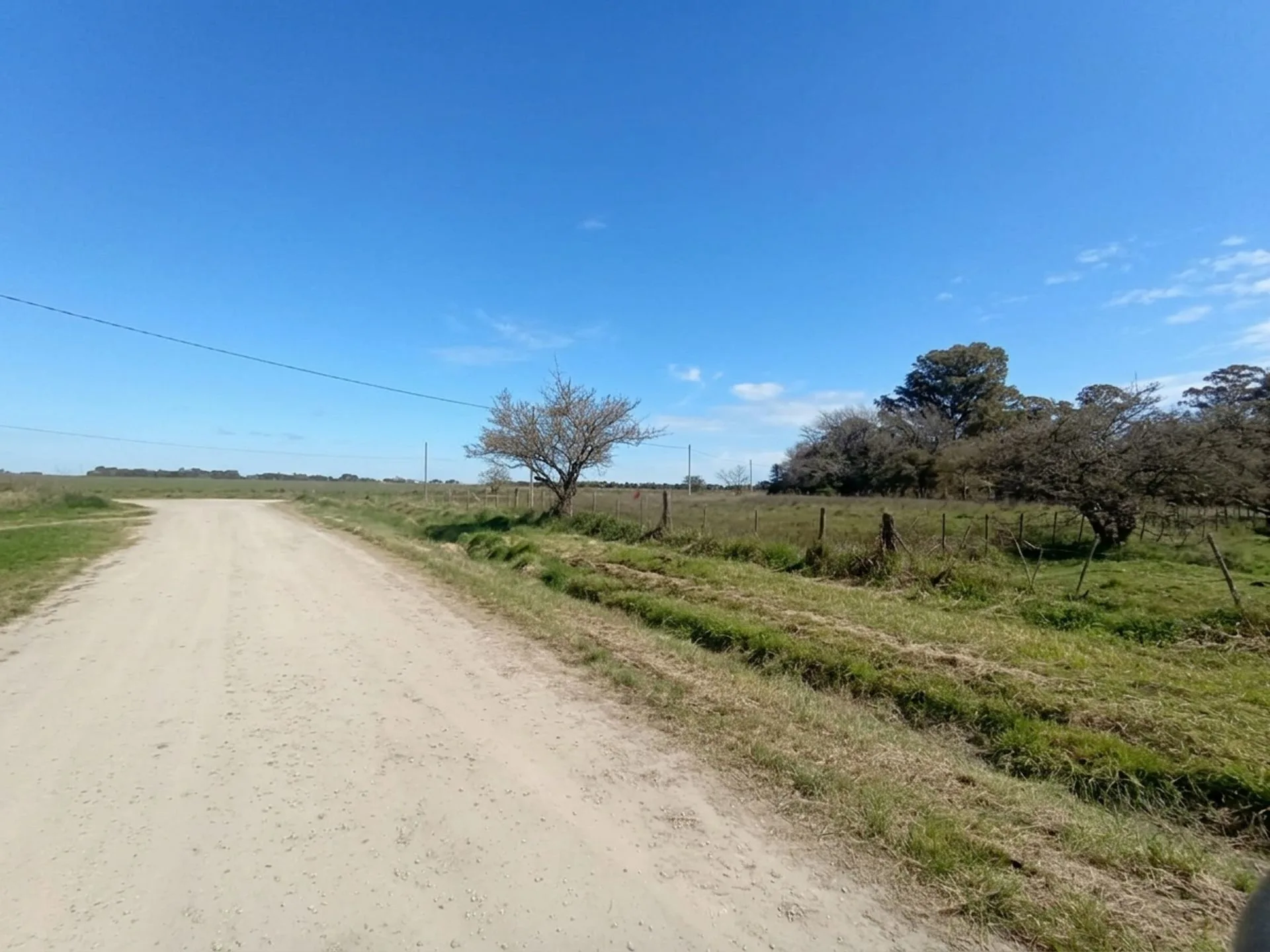 VENTA TERRENO C. VIDAL I 2.557 M² A 1 KM DE RUTA 2 foto 5