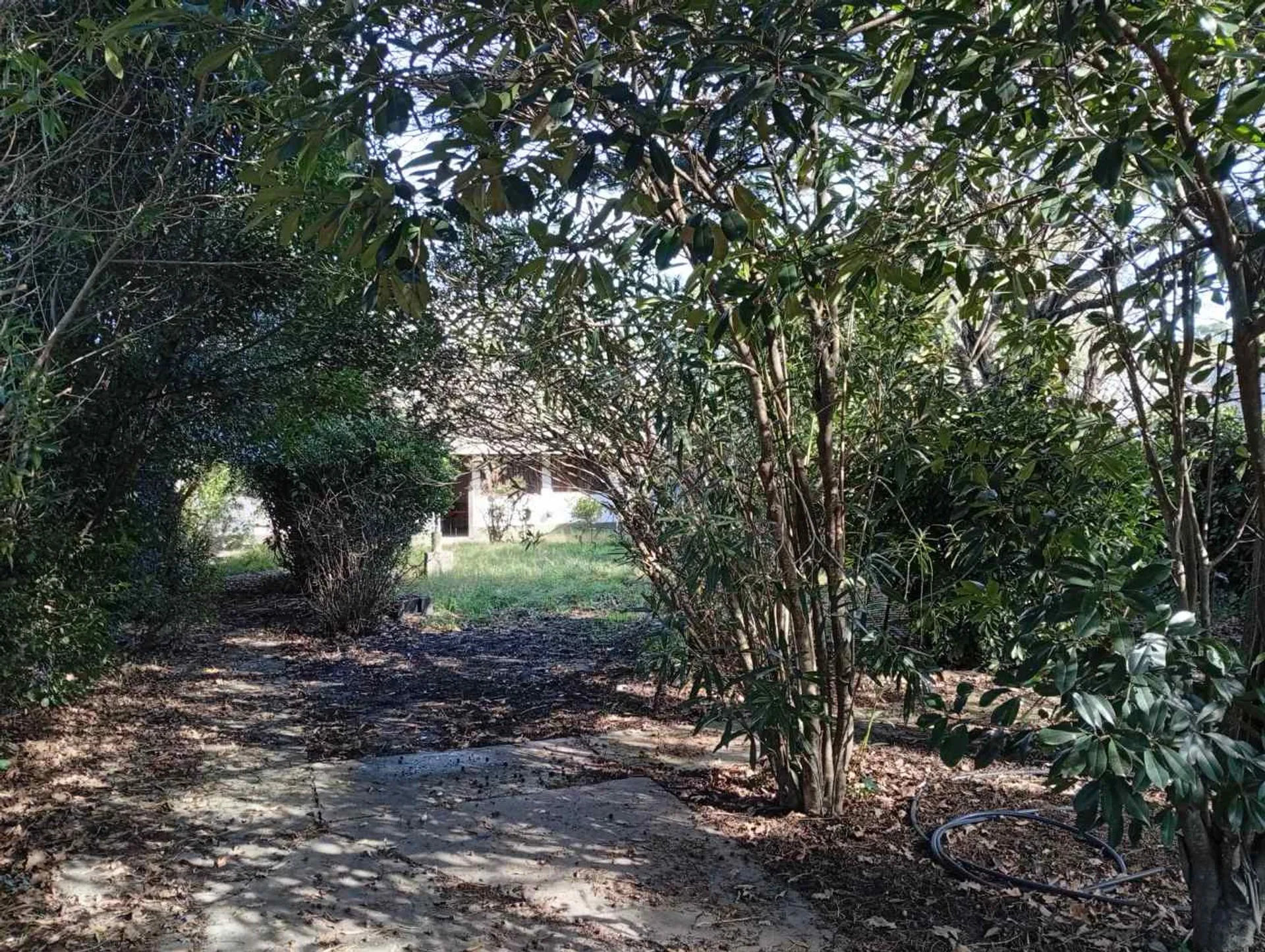 VENTA CASA 3 AMB GRAN PARQUE PARRILLA ACANTILADOS foto 2