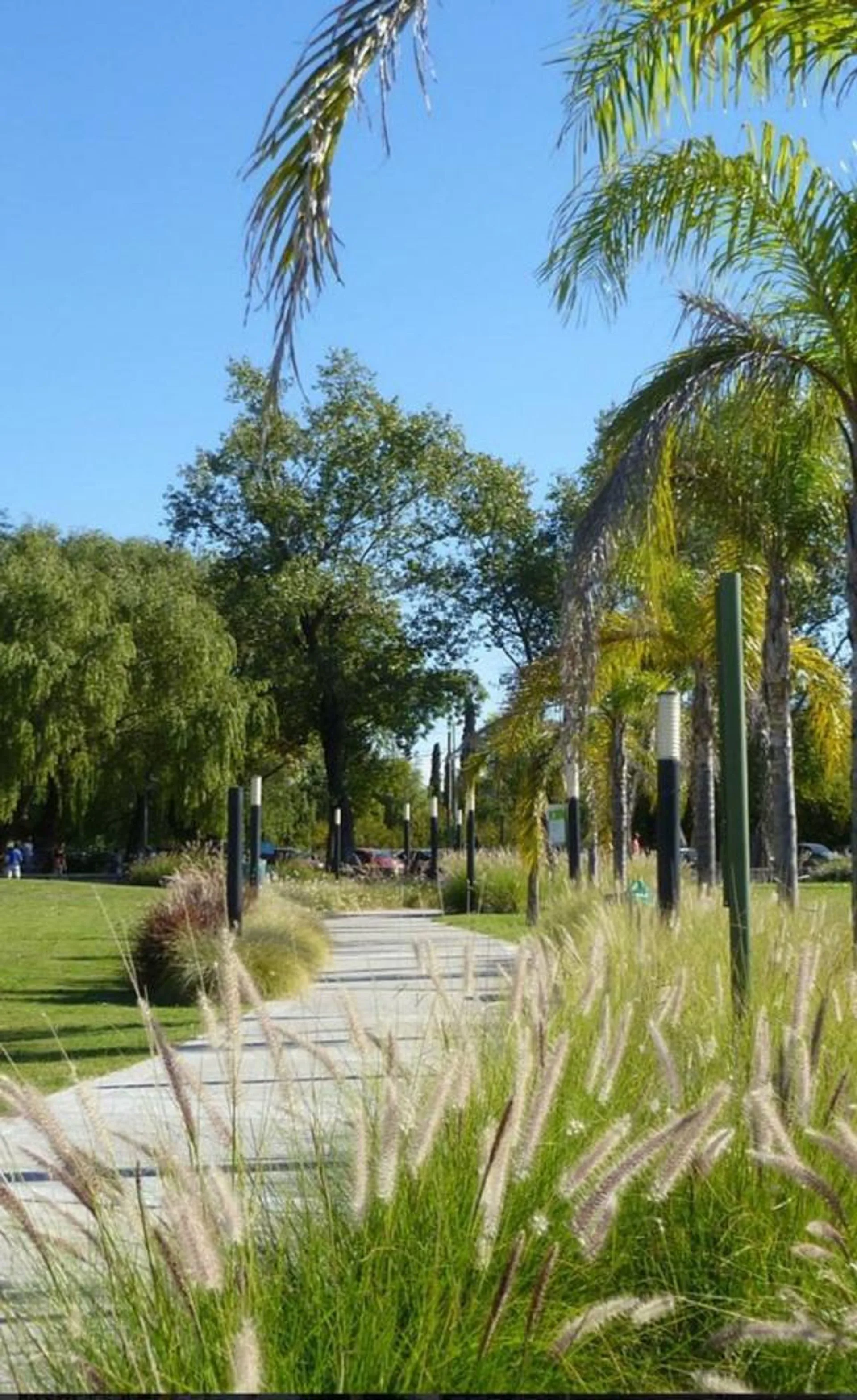 VENTA LOTE EMPRENDIMIENTO FRENTE AL RIO EN ZARATE foto 5
