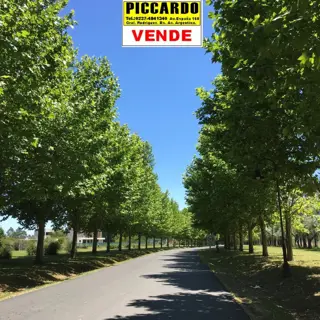 LOTE TERRENO EN VENTA “EL NACIONAL CLUB DE CAMPO” REF.1332 GRAL. RODRIGUEZ PICCARDO. foto 1