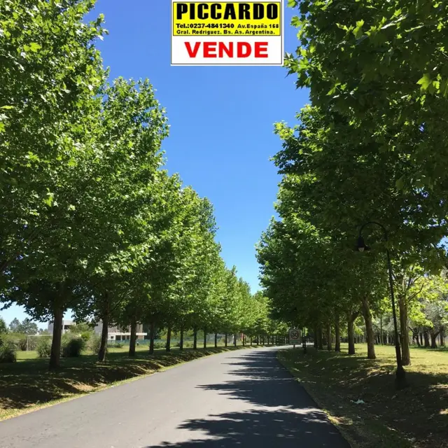 LOTE TERRENO EN VENTA “EL NACIONAL CLUB DE CAMPO” REF.1332 GRAL. RODRIGUEZ PICCARDO.