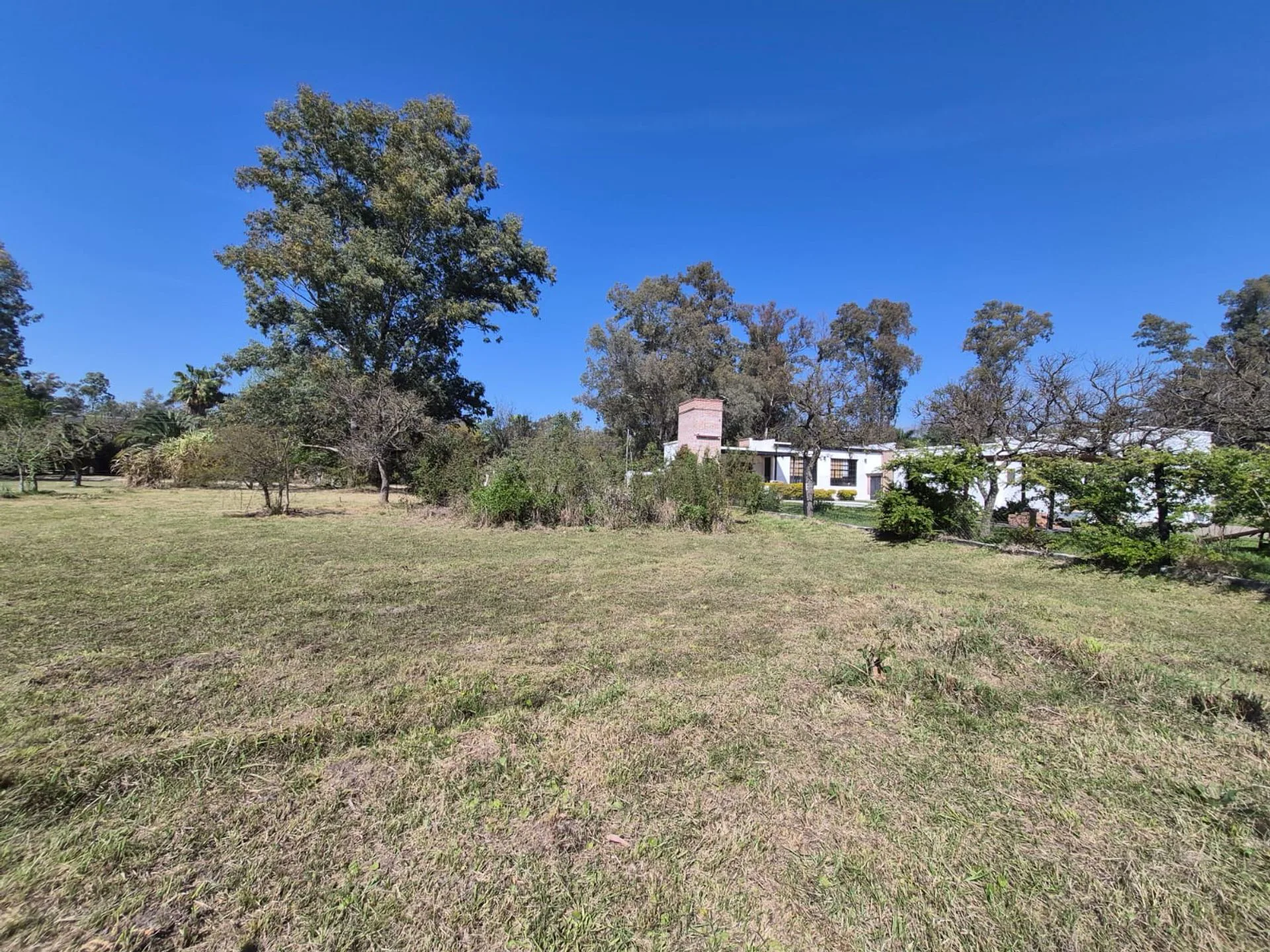 Se vende terreno en Villa California 1378m2. foto 3