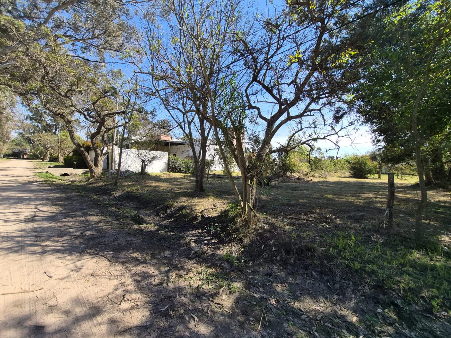 Se vende terreno en Villa California 1378m2. foto 4