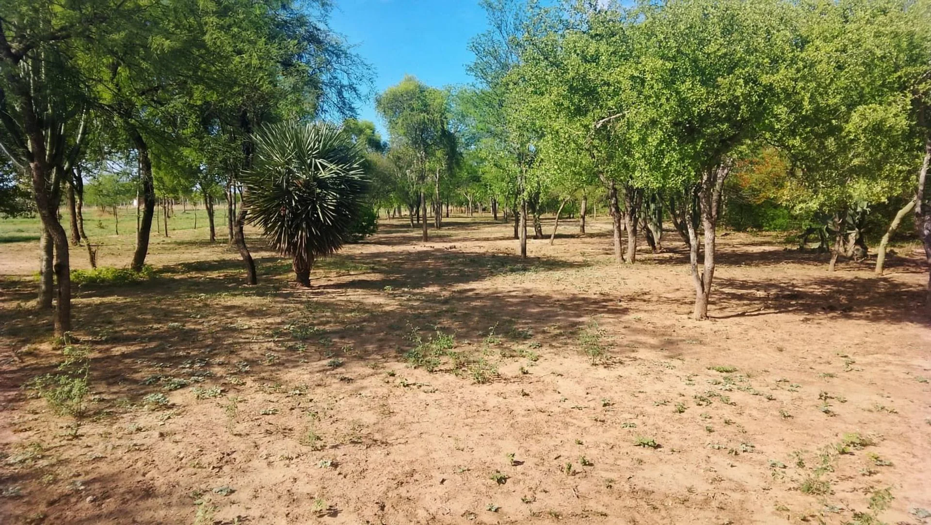 VENDO LOTE -EL MANANTIAL- foto 2