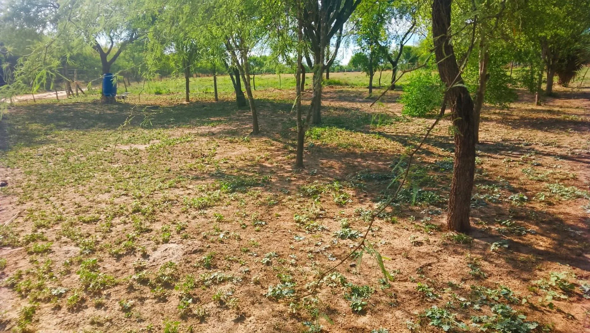 VENDO LOTE -EL MANANTIAL- foto 3