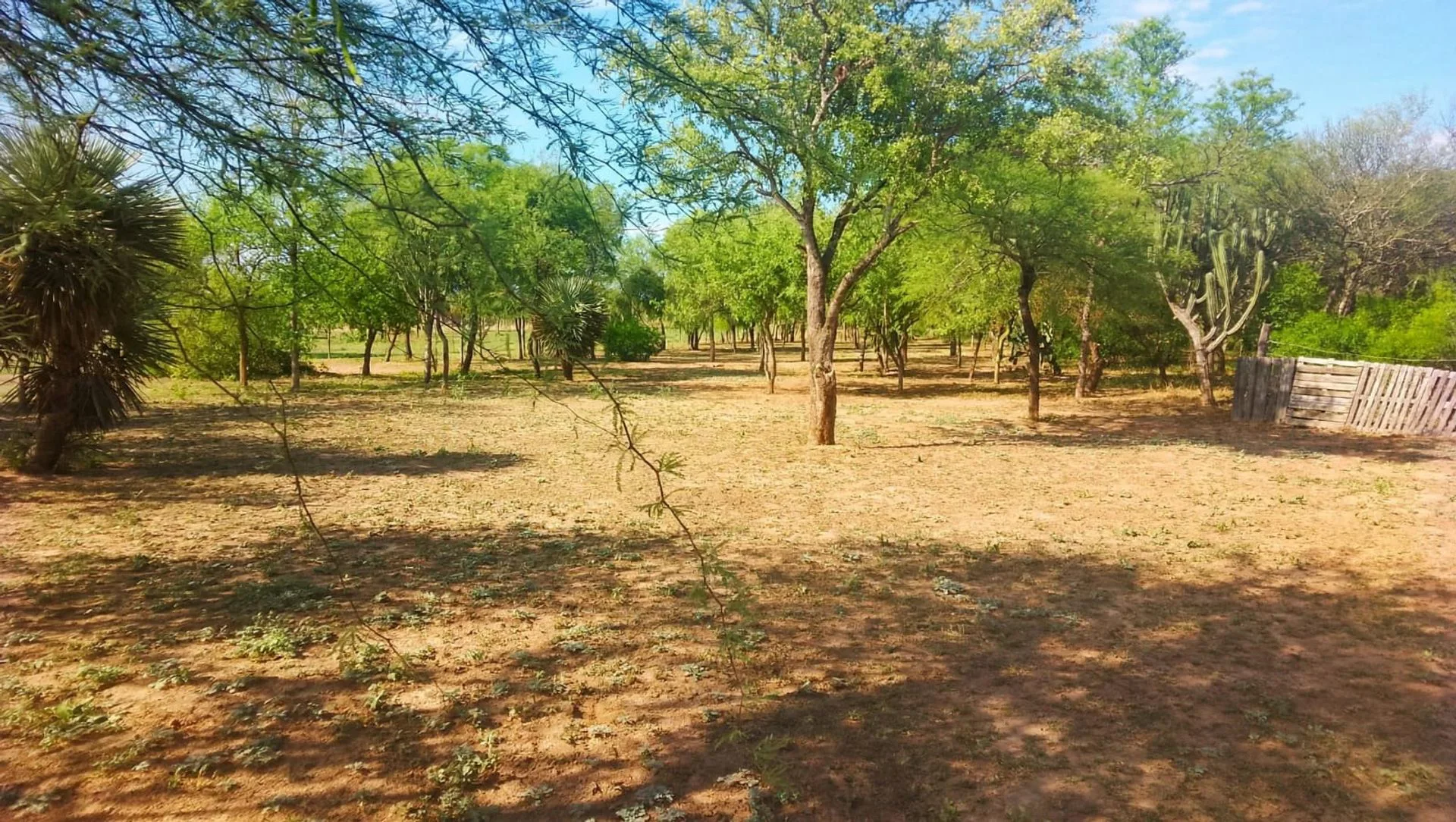 VENDO LOTE -EL MANANTIAL- foto 4