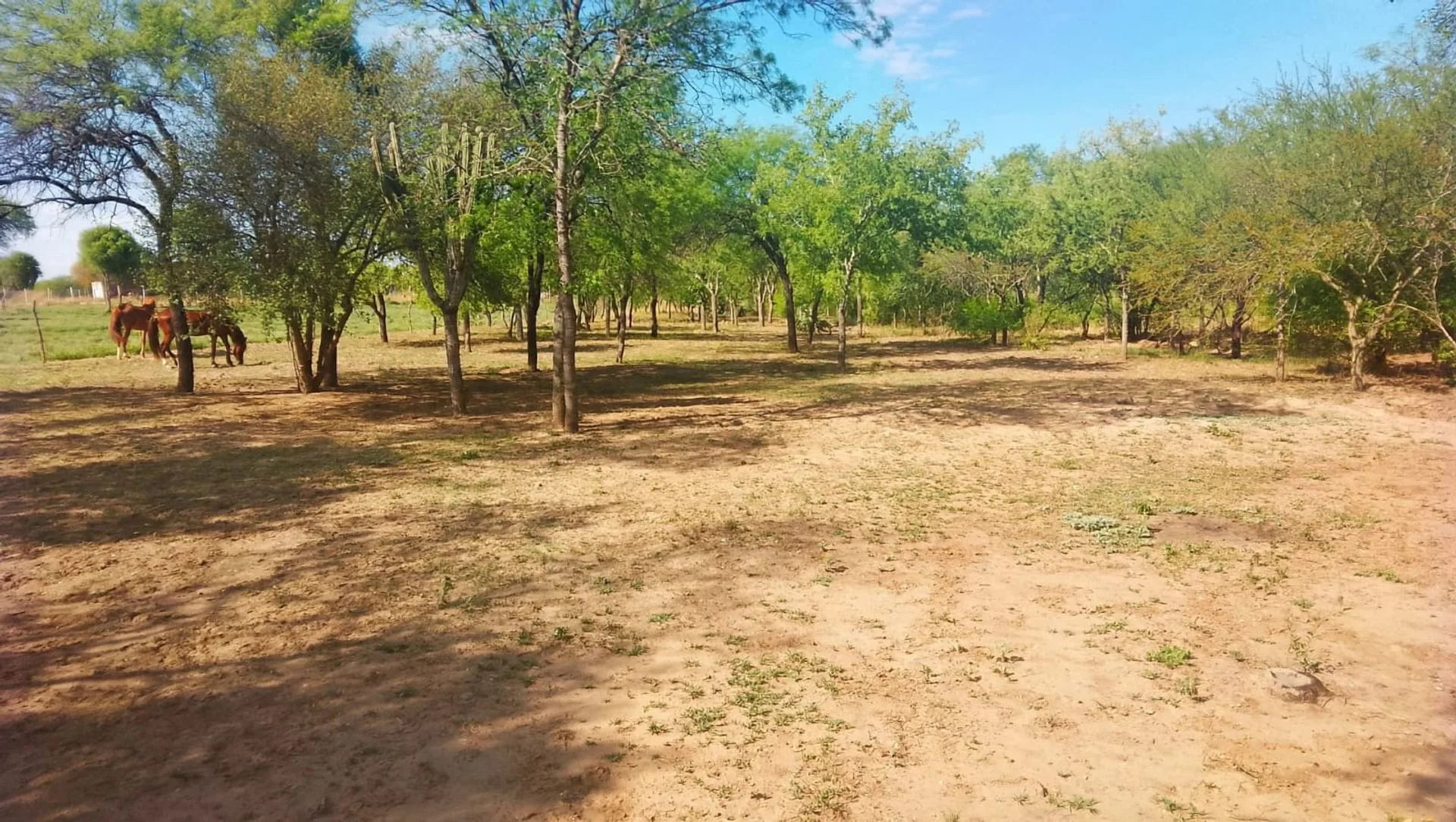 VENDO LOTE -EL MANANTIAL- foto 5