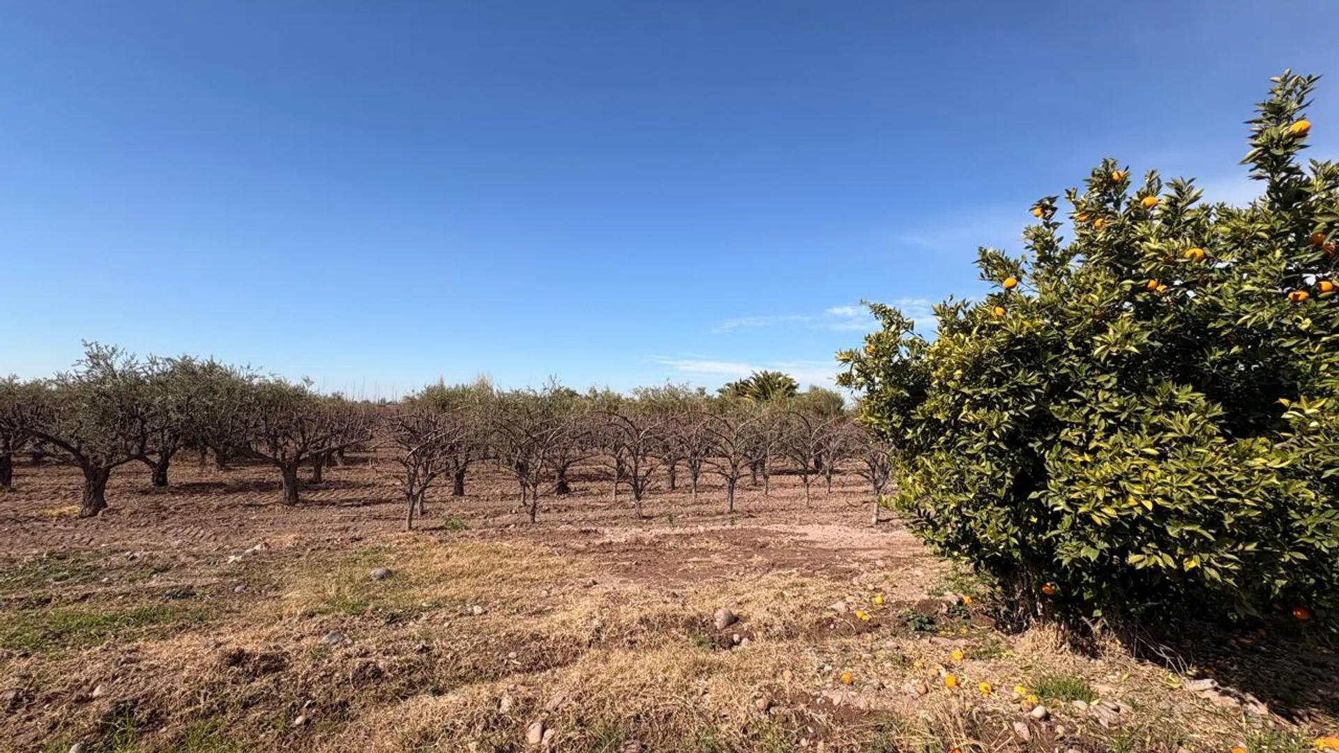 Venta Finca en Maipú foto 2