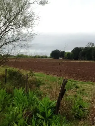Campo en Venta en Francisco Álvarez, Moreno, Buenos Aires foto 3