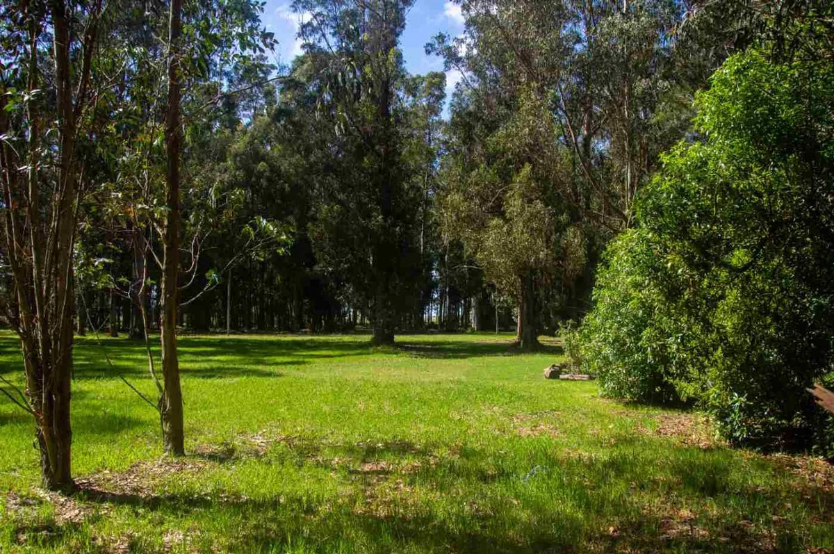 Venta lote en Country Costa del Sol, Mar Chiquita foto 5