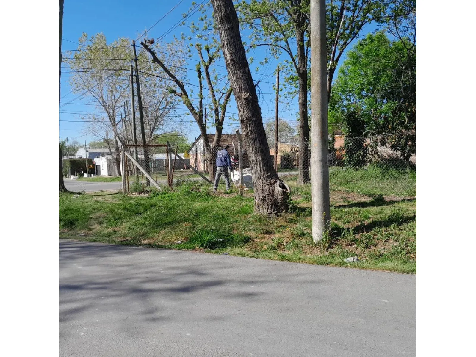 VENTA LOTES RANELAGH foto 5