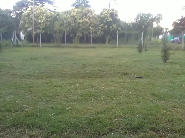 OPORTUNIDAD - TERRENO EN LA REJA