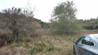 OPORTUNIDAD!!! GRAN TERRENO DE 8000 MTS! foto 4