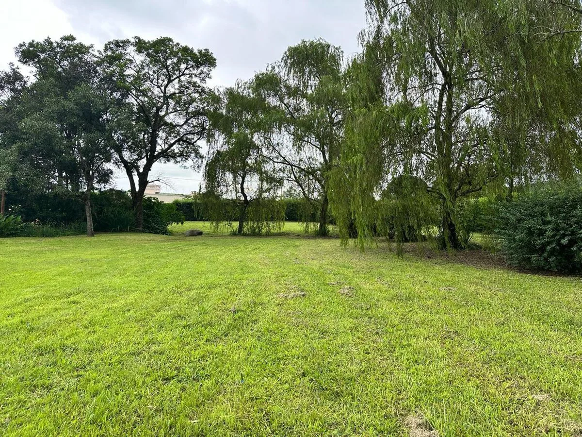TERRENO VENTA DE 2170M2 LESSER CASTELLANOS foto 2
