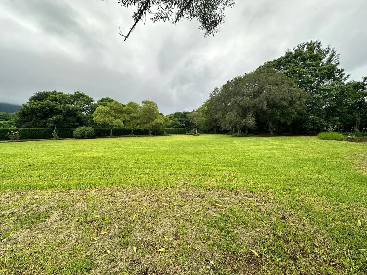 TERRENO VENTA DE 2170M2 LESSER CASTELLANOS foto 5