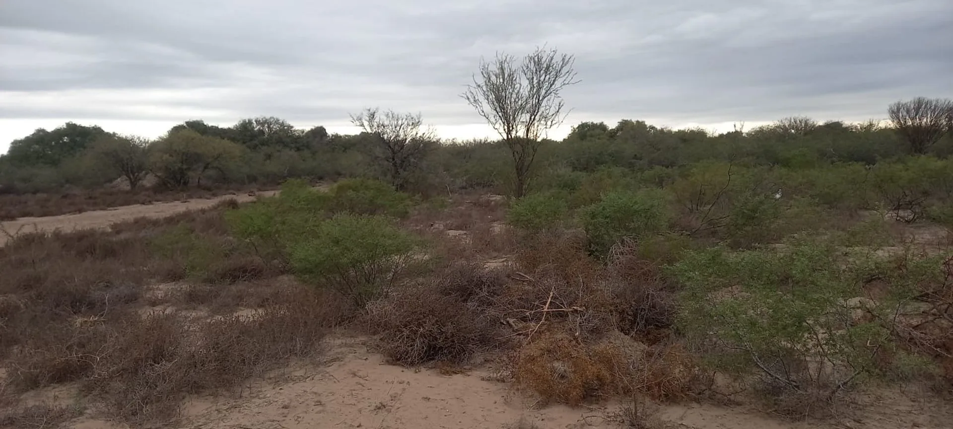 VENTA DE TERRENO en LOTEO PRIVADO CAMPO SERENA foto 2