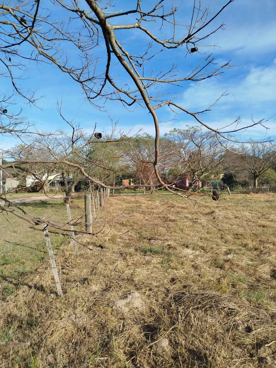 Venta | Terreno en Arroyo Leyes – Santa Fe foto 3