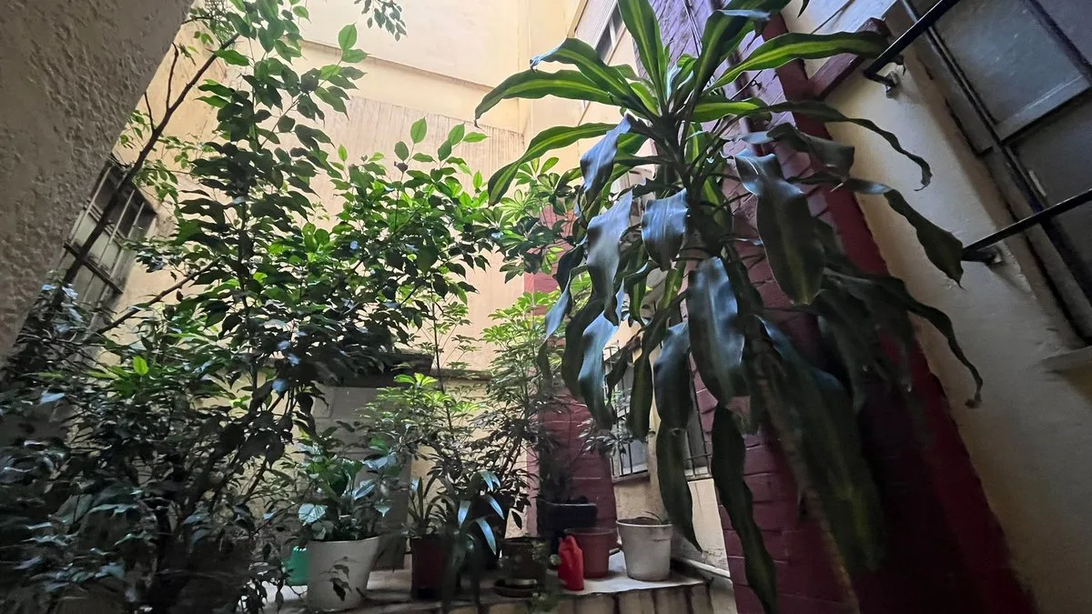 Departamento en Venta Almagro, con dependencia. foto 5
