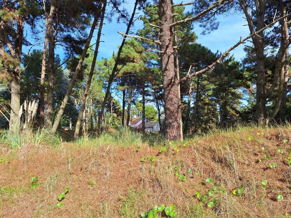 LOTE VENTA COSTA DEL ESTE 664m2 foto 3