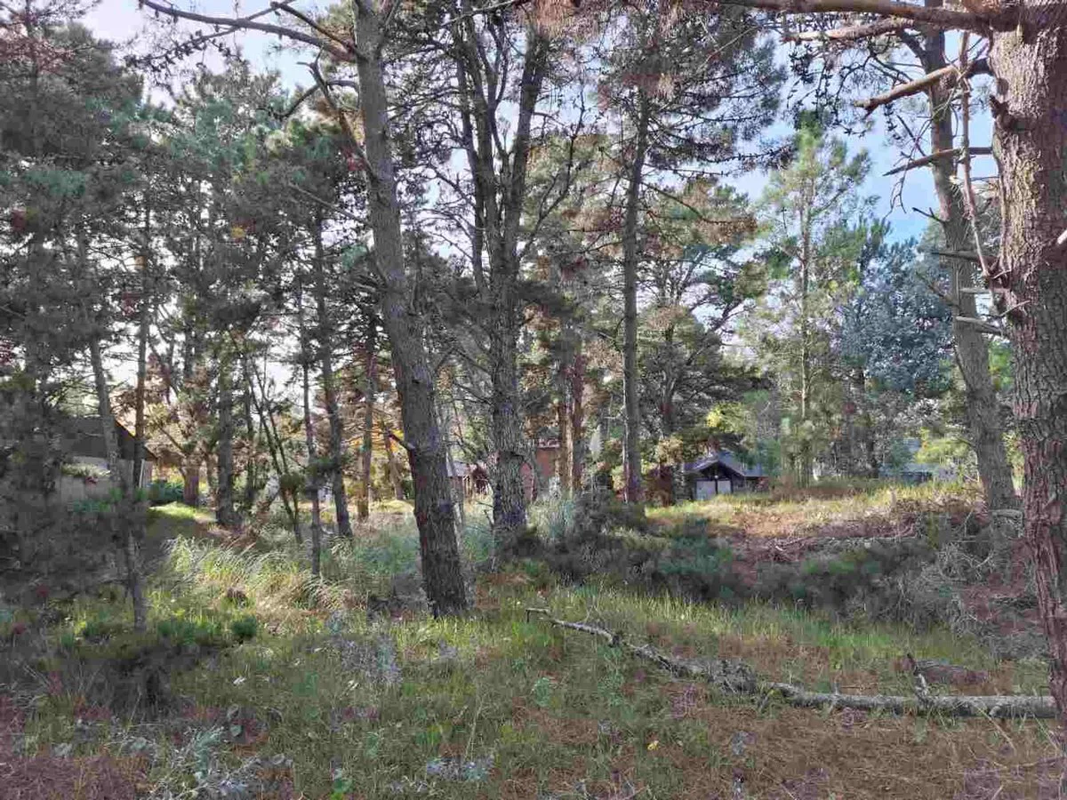 LOTE VENTA COSTA DEL ESTE 664m2 foto 4