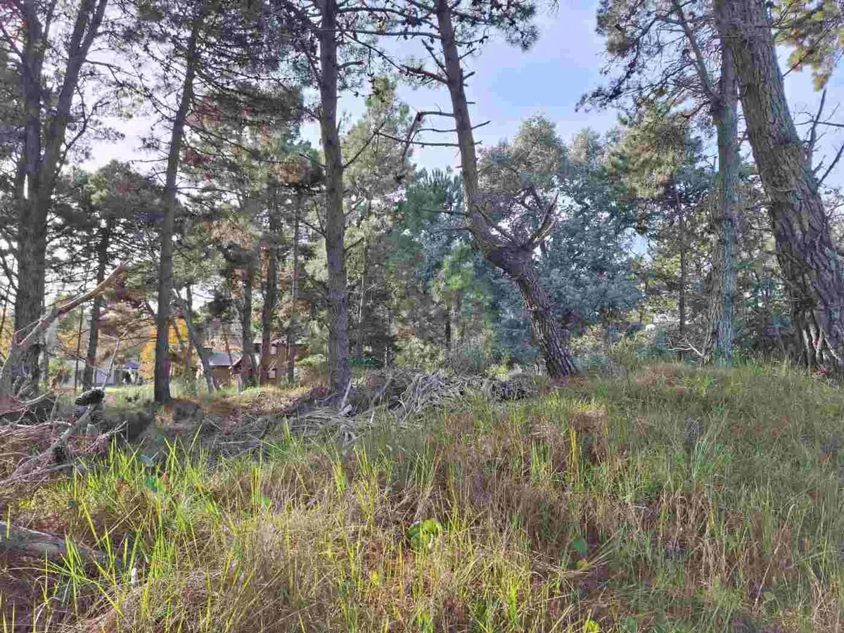 LOTE VENTA COSTA DEL ESTE 664m2 foto 5