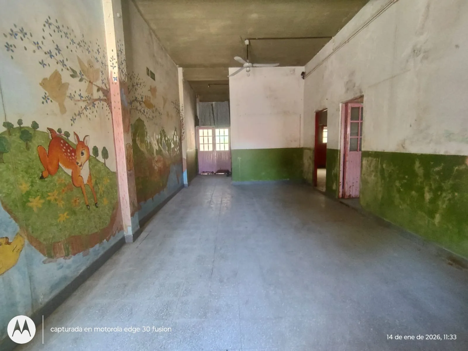 Edificio en venta, Lieja 534, F. Varela foto 5