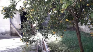 Barbaro Vende Galpón con vivienda en Billinghurst a metros de Av, Eva Perón foto 2