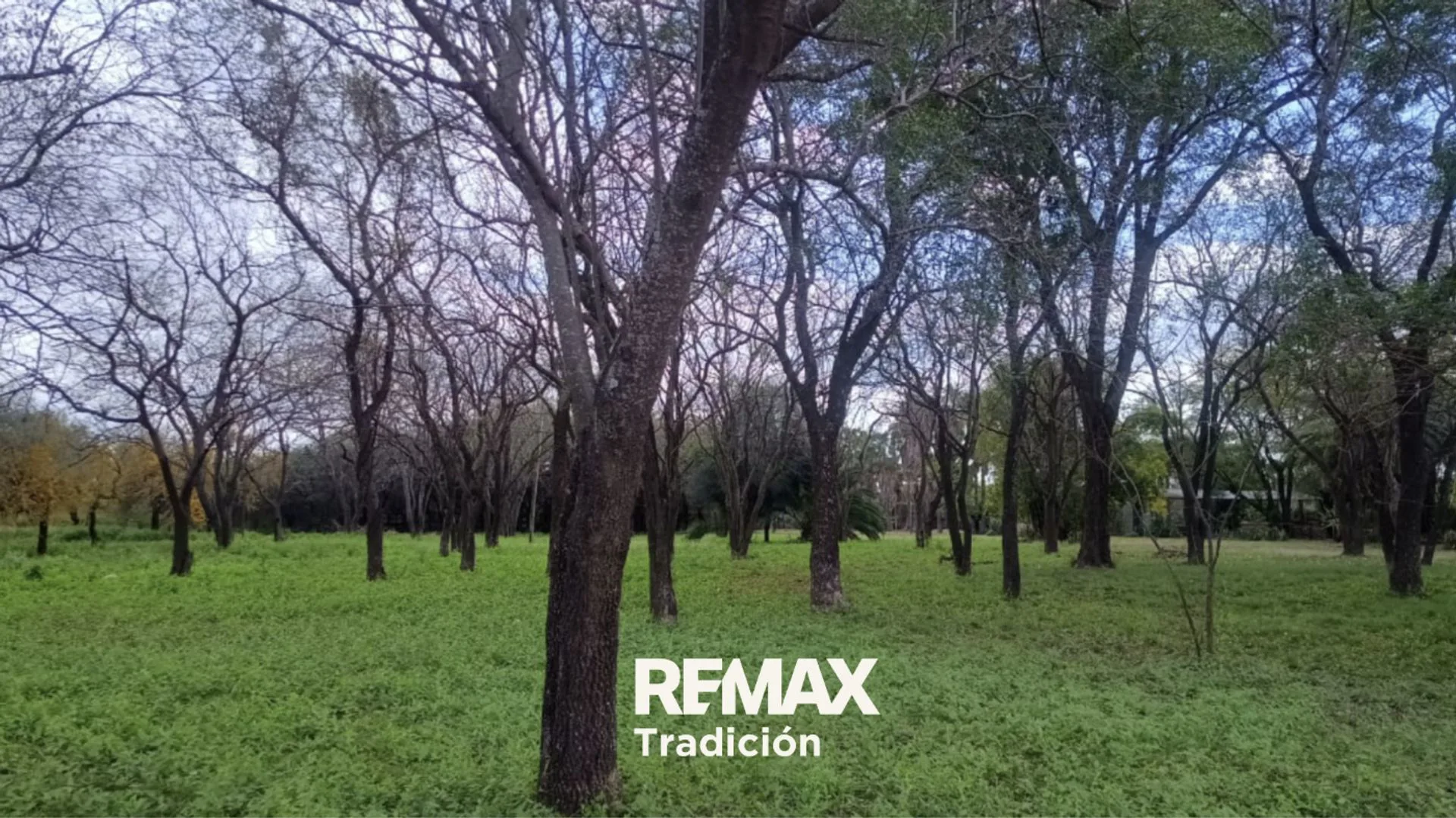 Terreno de 2,6 Ha. en Venta ubicado en Sáenz Peña foto 2