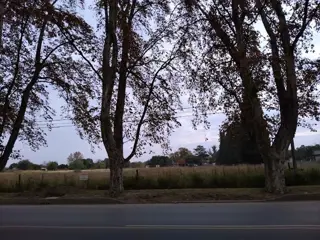 Venta 6Has. 6.600m2 zona Urbana (100x50) 5.000m2 Apto Subdividir en Lotes 1.100m2 todos frente a Av. San Martín y zona Rural 1.100m2 Escritura en Colo foto 3